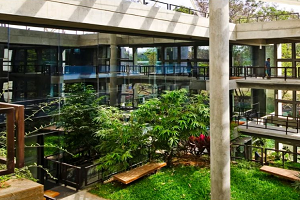 Khám phá khu vườn nhiệt đới trong tòa nhà văn phòng ở Ấn Độ